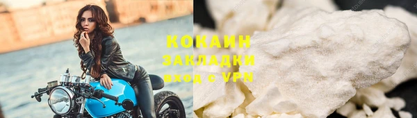Альфа ПВП Гусев