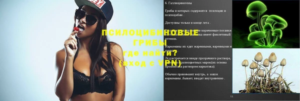 mdpv Гусиноозёрск