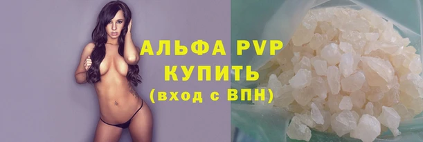Альфа ПВП Гусев