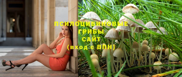 mdpv Гусиноозёрск