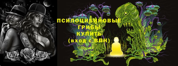 mdpv Гусиноозёрск