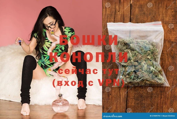 Альфа ПВП Гусев