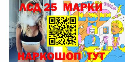 гашик Будённовск