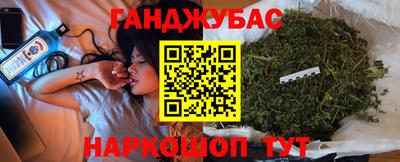 гашик Будённовск