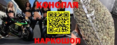 гашик Будённовск