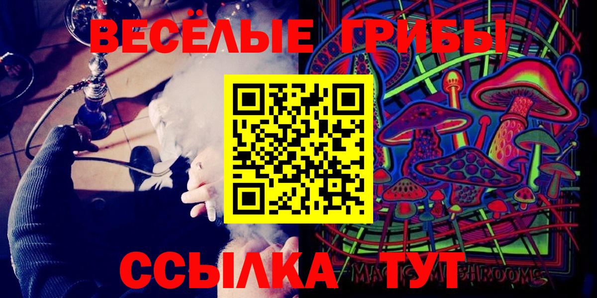 Псилоцибиновые грибы мицелий Грязи