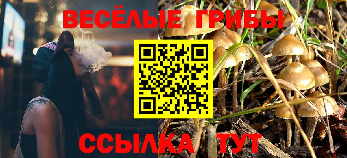 Бошки Шишки Грязи