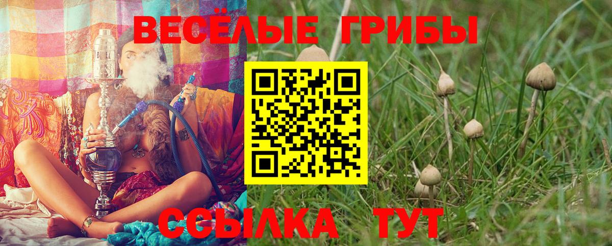 Псилоцибиновые грибы Cubensis Грязи