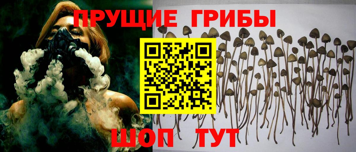 Грязи  Псилоцибиновые грибы Magic Shrooms  наркота  Вход с VPN  Галлюциногенные грибы мухоморы 